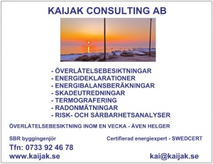 KAIJAK CONSULTING AB logotyp
